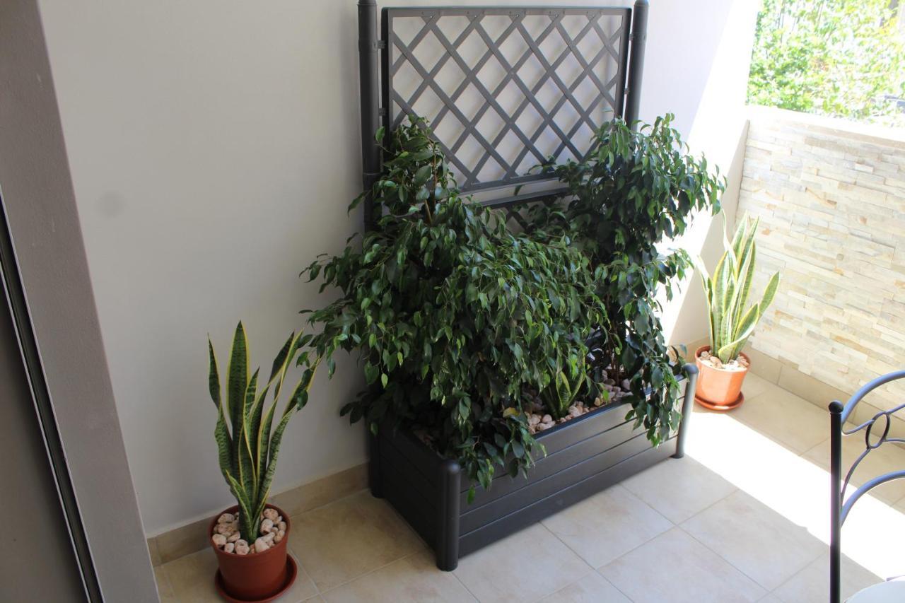 Apartment Casa Angelina Lecce